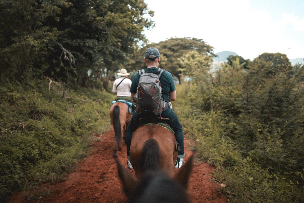 Passeggiata a Cavallo di Coppia – 2 Ore nella Natura